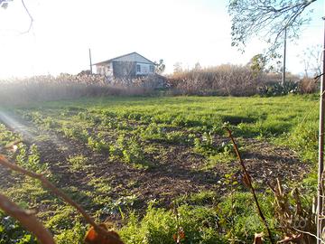 Terreno di circa 8000 mq, Villa Literno