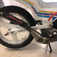 Scarico Simonini per Fifty con Morini g30