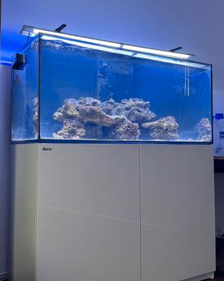 Acquario RedSea reefer 350 completo