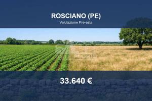 Immobile in asta di 18670 m² a Rosciano