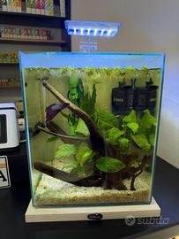 acquario zolux jalaya xl