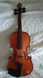 Violino