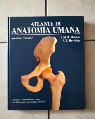 Atlante di Anatomia Umana