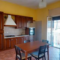 Annuale ascea corso elea