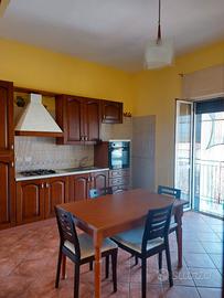 Annuale ascea corso elea