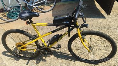 Bianchi Ragno Thomisus