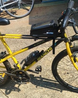 Bianchi Ragno Thomisus