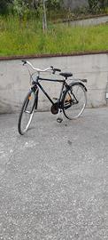 Bicicletta da passeggio 