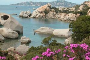 Agosto in Sardegna - PALAU LAST MINUTE