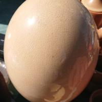 Grande uovo in fine porcellana