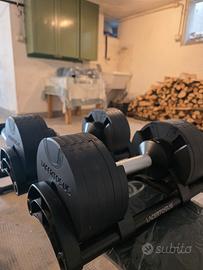 Manubri Lacertosus - 2/20 kg