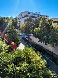 Casa Vacanze Pineta Pescara