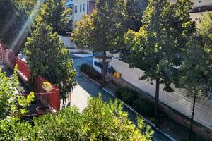 Casa Vacanze Pineta Pescara