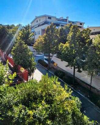 Casa Vacanze Pineta Pescara