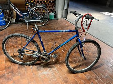 Coppia di Mountain bimke e City bike