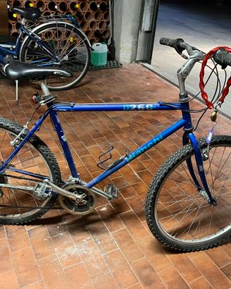 Coppia di Mountain bimke e City bike
