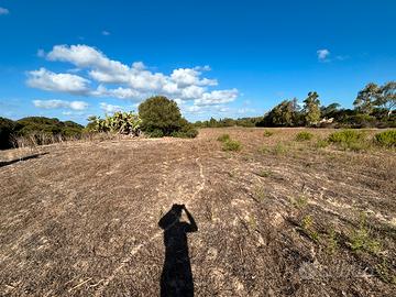 Terreno agricolo in loc canale Ergiu