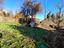 Immagine 29