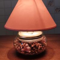 Abatjour in vetro/ottone con fiori secchi