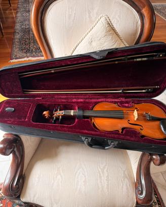 Violino