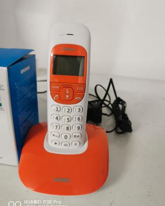 Telefono portatile fisso