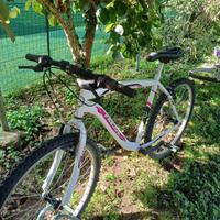 bicicletta usata