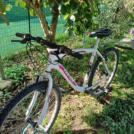 bicicletta usata