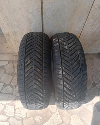 Gomme Riken 185/60 R15