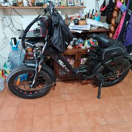 bicicletta elettrica 