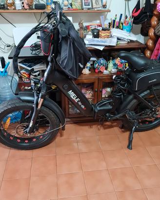 bicicletta elettrica 