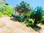 Immagine 28