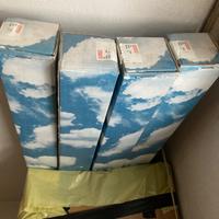 Zanzariere per finestre velux