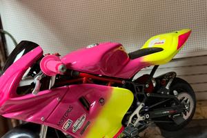 Minimoto grc rr