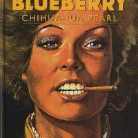 BLUEBERRY Chihuahua Pearl