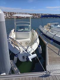 Barca kamarina Motori Mercury MinnKota