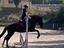 Immagine 6
