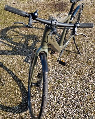Ebike Riese Muller UBN Five Singlespeed