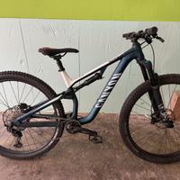 Mtb canyon neuron