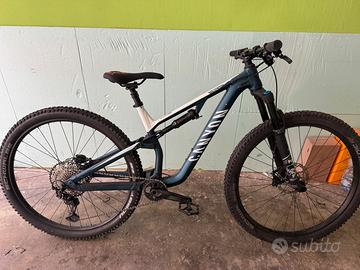 Mtb canyon neuron