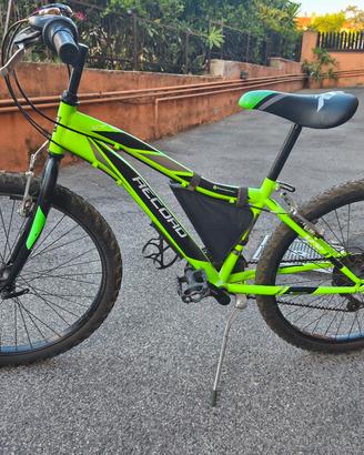 bici 24'