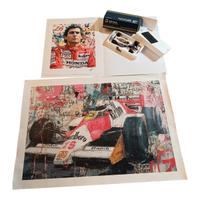 Ayrton Senna/ collezione 