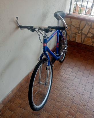 bici mtb