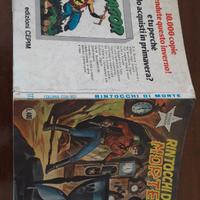 IL Piccolo Ranger n° 173