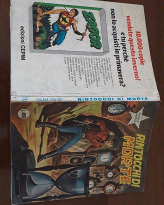 IL Piccolo Ranger n° 173