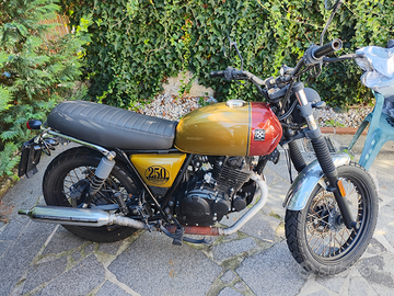 Brixton cromwell 250