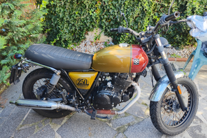 Brixton cromwell 250