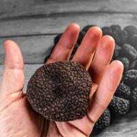 Tartufo nero NORCIA DOP