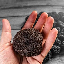 Tartufo nero NORCIA DOP