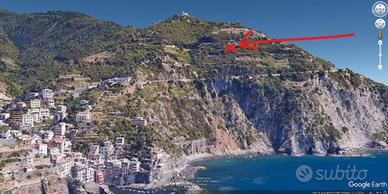 200mq terreno con rudere collabente Cinque Terre
