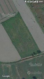 Terreno agricolo nel comune di viadana